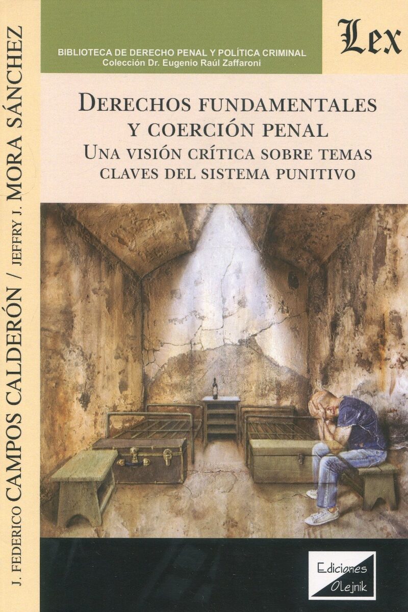 Derechos fundamentales y coerción penal. Una visión crítica sobre temas claves del sistema punitivo-0