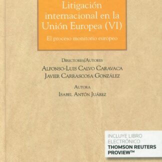 Litigación Internacional en la Unión Europea VI  
