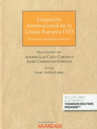 Litigación Internacional en la Unión Europea VI  