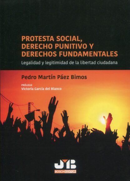 Protesta social, derecho punitivo y derechos fundamentales. Legalidad y legitimidad de la libertad ciudadana