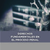 DERECHOS FUNDAMENTALES EN EL PROCESO PENAL