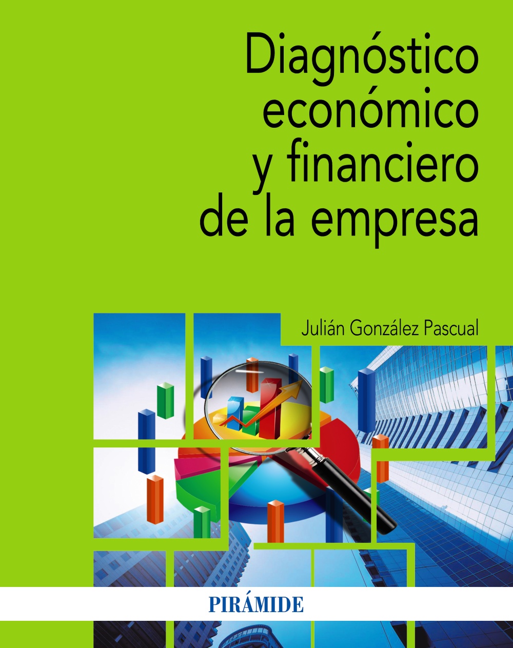 DIAGNOSTICO ECONOMICO Y FINANCIERO DE LA EMPRESA-GONZALEZ PASCUAL-PIRAMIDE