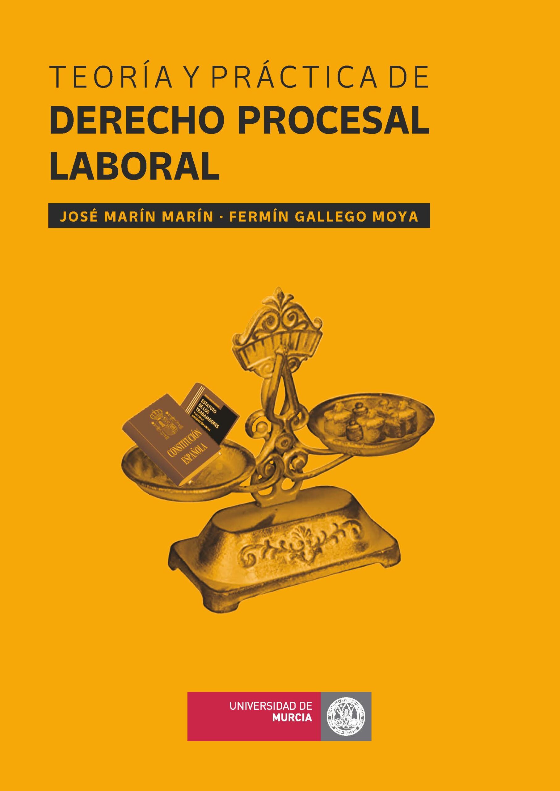 Este libro ofrece una visión global del Derecho Procesal Laboral, sintética y detallada. Los contenidos se exponen de forma esquemática pero desarrollada