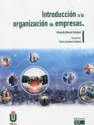 Introducción a la organización de empresas