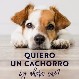 Quiero un cachorro, ¿y ahora qué? Guía completa para entenderlo y educarlo