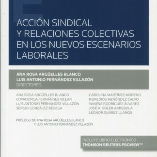 Acción sindical y relaciones colectivas en los nuevos escenarios laborales