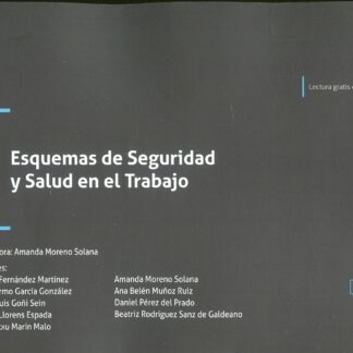 Esquemas de Seguridad y Salud en el Trabajo