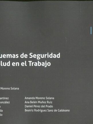 Esquemas de Seguridad y Salud en el Trabajo