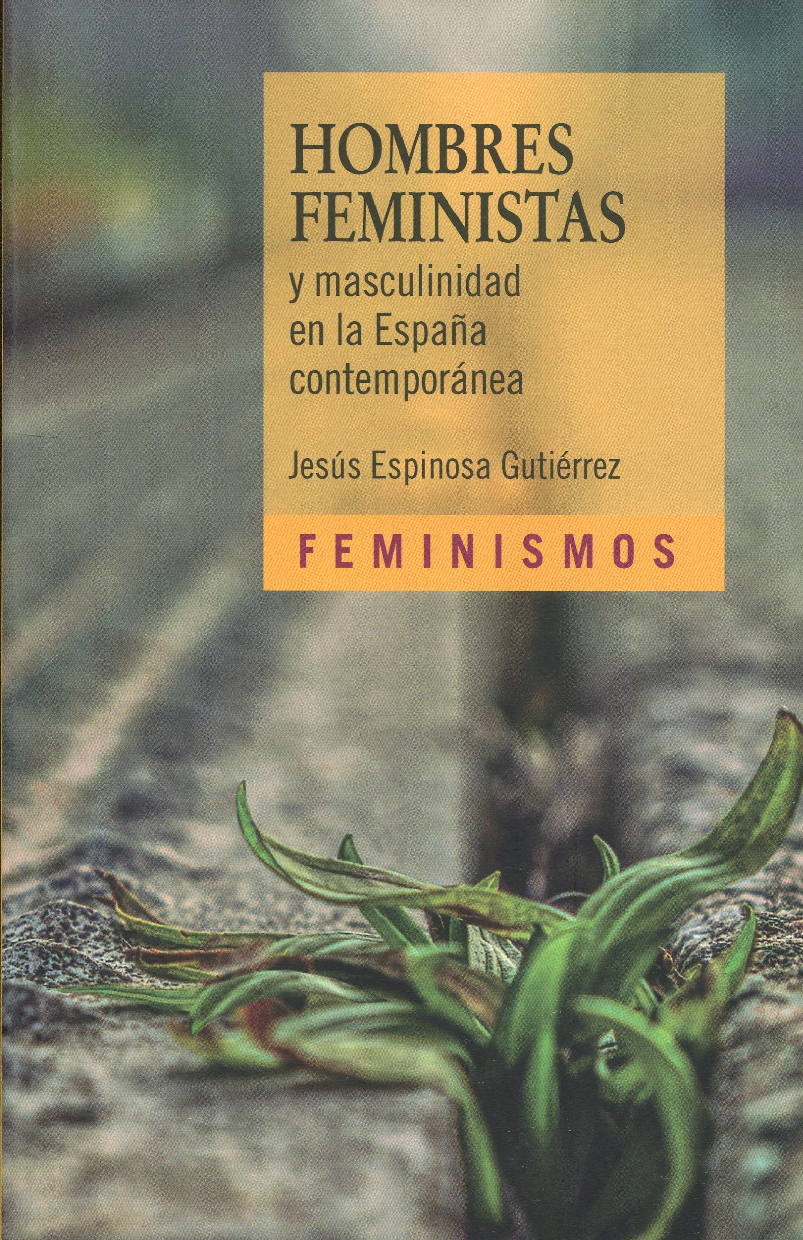 Hombres feministas masculinidad en España9788437645018