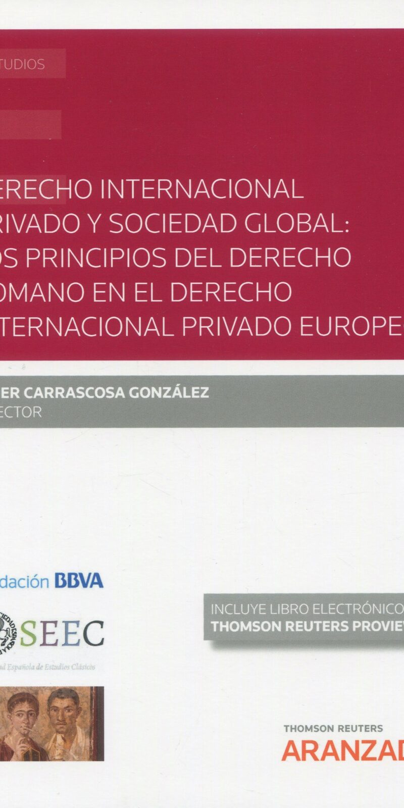 Derecho internacional privado y sociedad global9788413454986