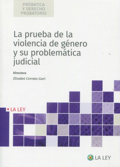 Prueba de la violencia de género y su problemática judicial