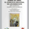 VARIACIONES SOBRE UN TEMA EJERCICIO PROCESAL DE LOS DERECHOS -PORTADA