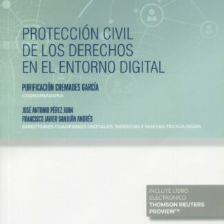Protección civil de los derechos en el entorno digital. Cuadernos digitales. Derecho y nuevas tecnologías