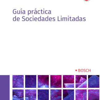 Guía práctica de Sociedades Limitadas