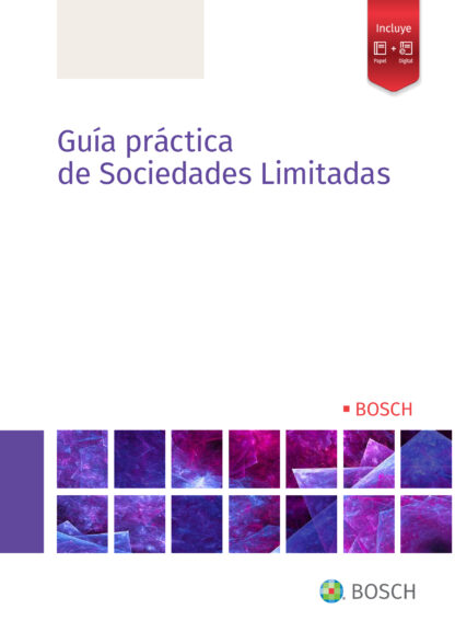 Guía práctica de Sociedades Limitadas