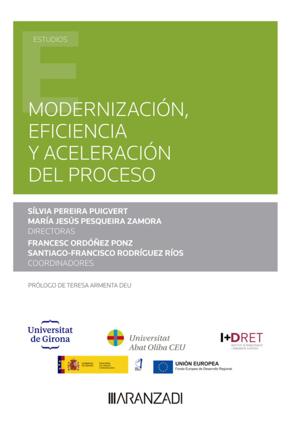 Modernización eficiencia y aceleración del Proceso -9788411249775