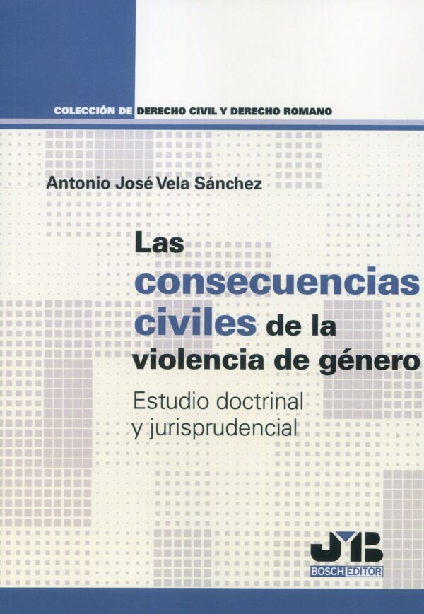 Consecuencias civiles violencia de género 9788419580061