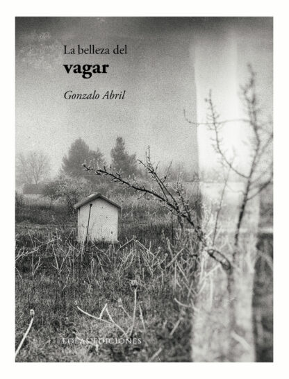 Belleza del vagar