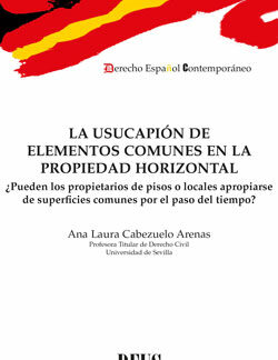 La usucapión de elementos comunes en la propiedad horizontal ¿Pueden los propietarios de pisos o locales apropiarse de superficies comunes por el paso del tiempo?