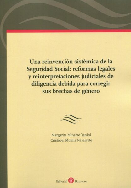 Una reinvención sistémica de la Seguridad Social: reformas legales y reinterpretaciones judiciales de diligencia debida para corregir sus brechas de género