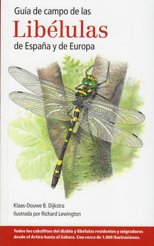 Guía de campo de las libélulas / 9788428216029