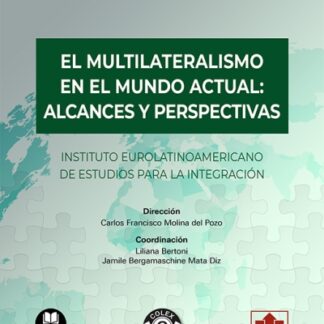 Multilateralismo en el mundo actual: alcances y perspectivas