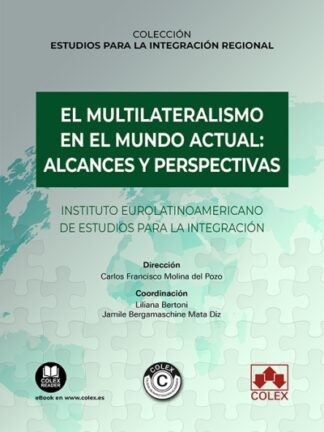Multilateralismo en el mundo actual: alcances y perspectivas