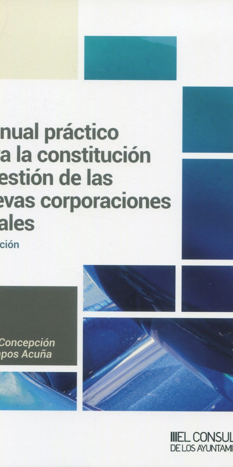 Manual práctico para la constitución / 9788470529207