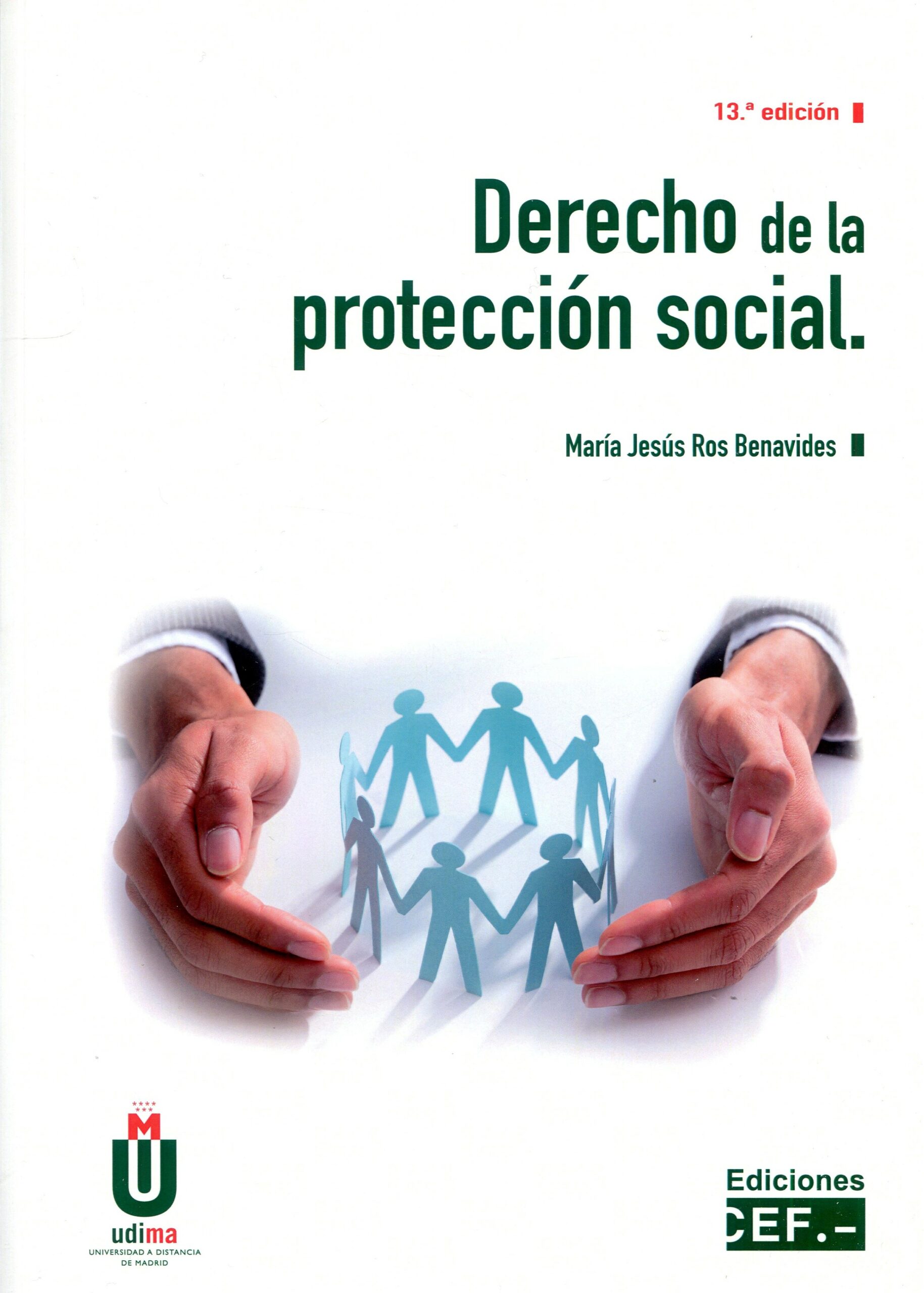 Derecho de protección social 9788445445280