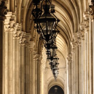 Viena