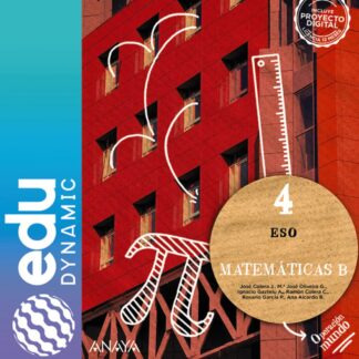 Matemáticas B 4