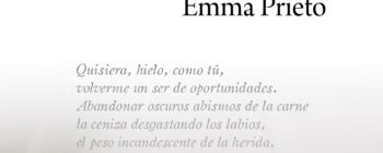 La responsabilidad social de la empresa: Implicaciones contables 9788489493834