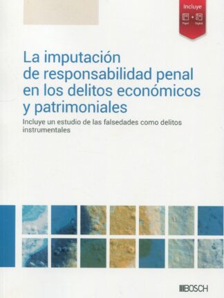 Imputación de responsabilidad penal en los delitos económicos y patrimoniales. Incluye un estudio de las falsedades como delitos instrumentales