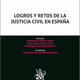 Logros y retos de la Justicia civil en España