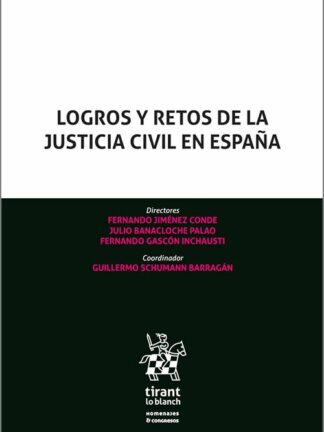 Logros y retos de la Justicia civil en España