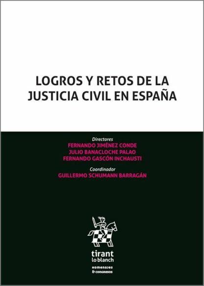 Logros y retos de la Justicia civil en España