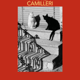 La conciencia de Montalbano (Comisario Montalbano 34)
