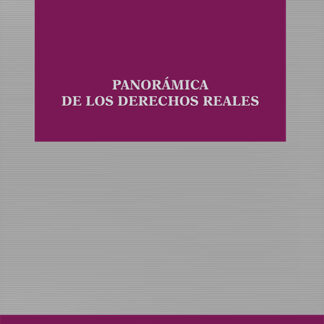 Panorámica de los derechos reales