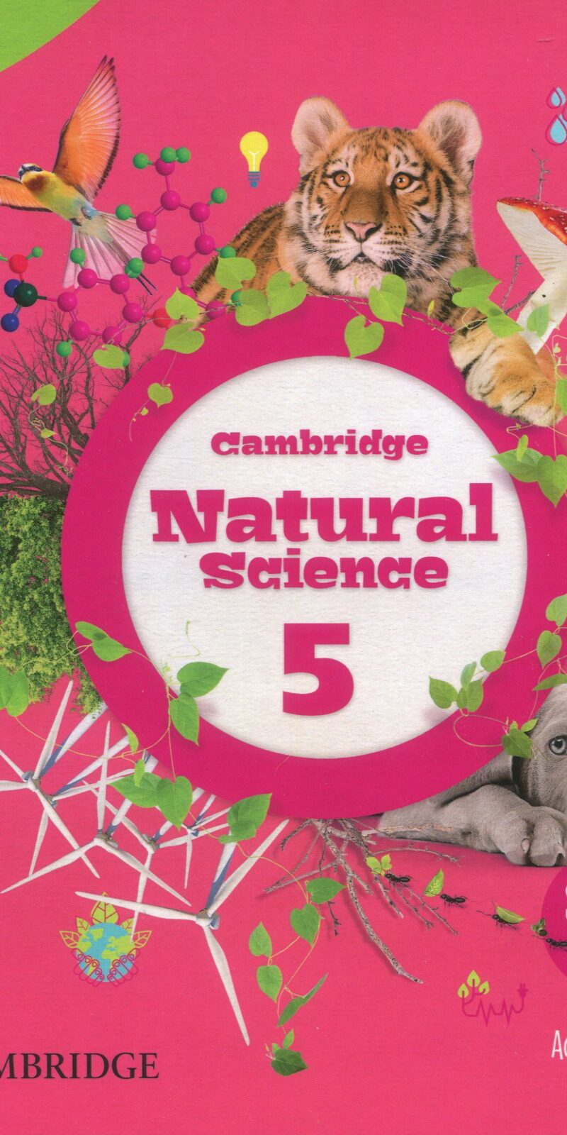 Cambridge Natural Science Level 5 Activity Book with Digital Pack 9788413226088