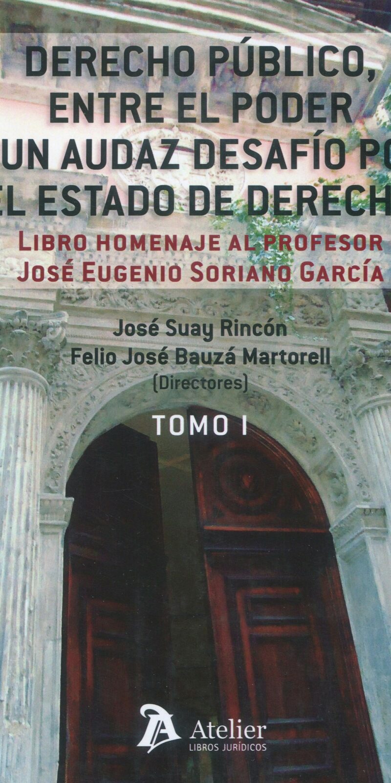 Derecho público, entre el poder y audaz desafío por el estado de derecho 9788419773357