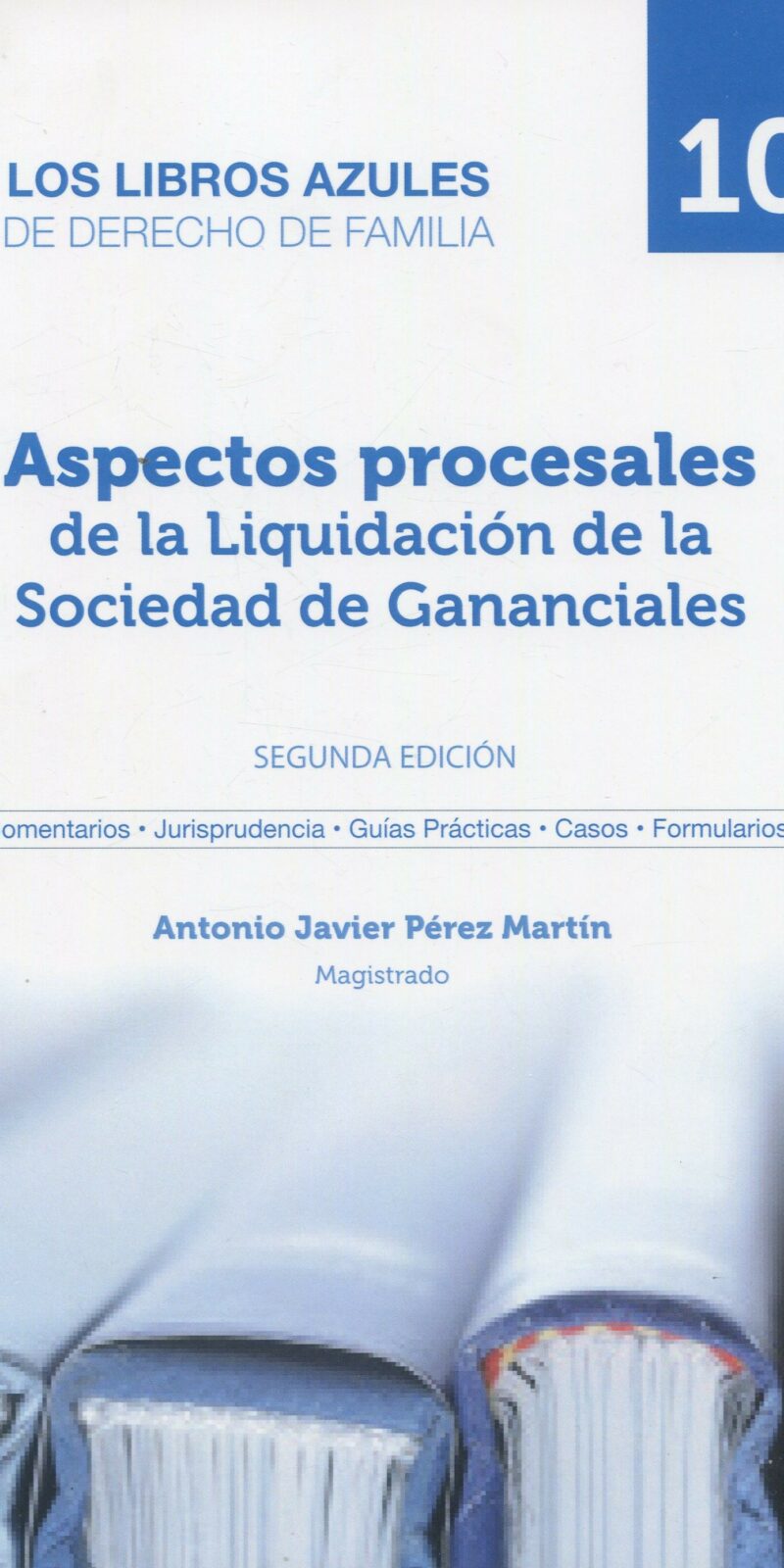 Aspectos procesales de la liquidación de la sociedad de gananciales 9788409521012