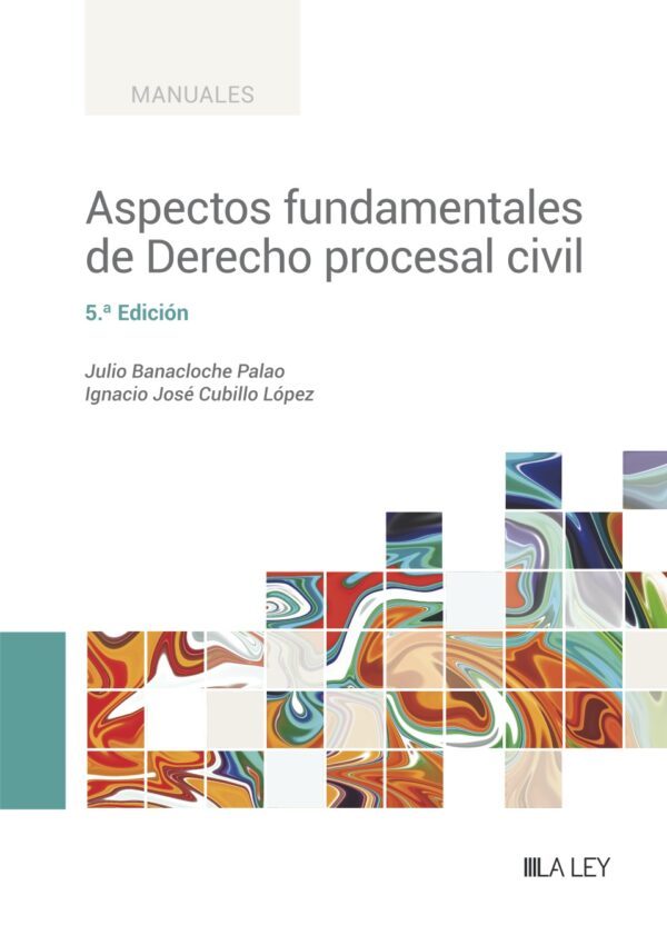 Aspectos fundamentales derecho procesal civil / 9788419446718