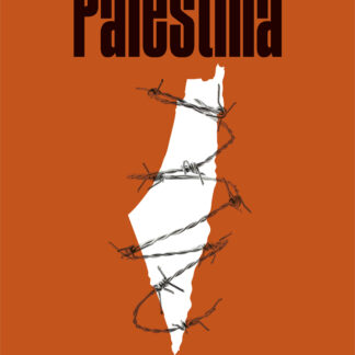 Palestina. De los acuerdos de Oslo al apartheid