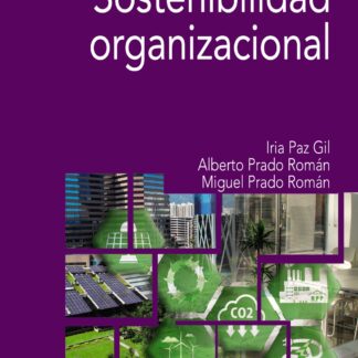 Sostenibilidad organizacional