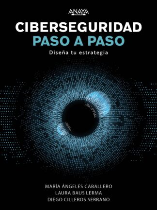 Ciberseguridad paso a paso. Diseña tu estrategia