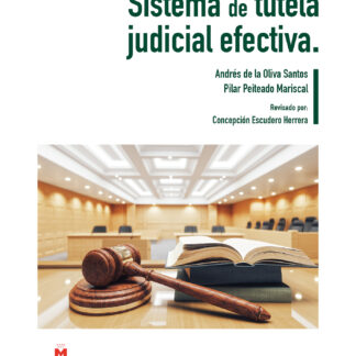 Sistema de tutela judicial efectiva 2023