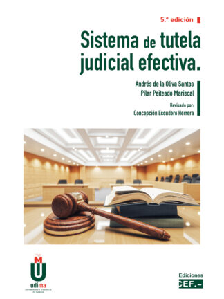 Sistema de tutela judicial efectiva 2023