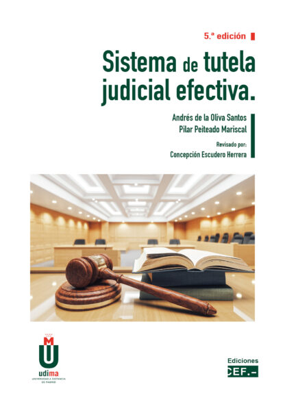 Sistema de tutela judicial efectiva 2023