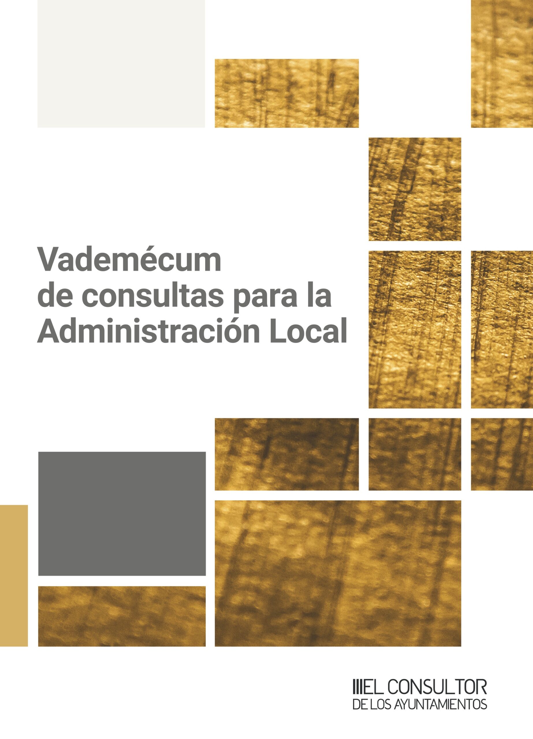 Vademécum de consultas administración local /9788470529344