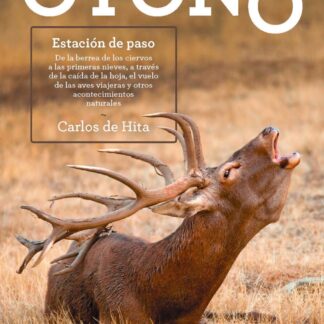 Otoño. Estación de paso